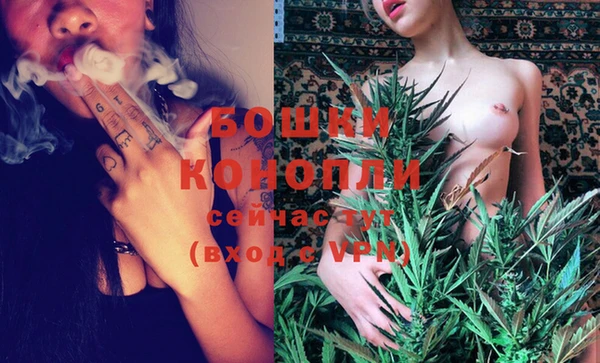 молекула духа Вяземский