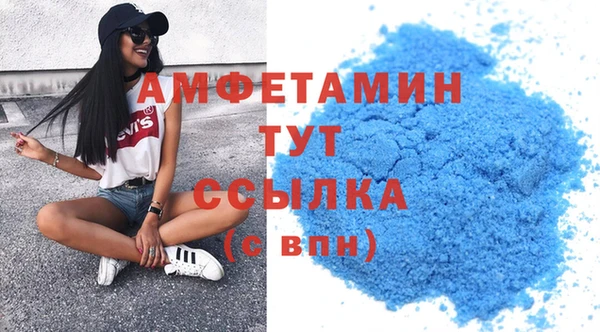 молекула духа Вяземский